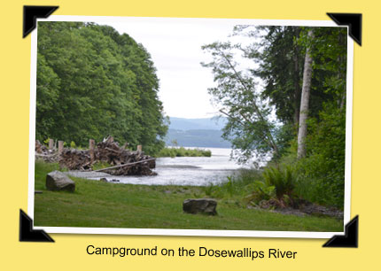 Dosewallips River