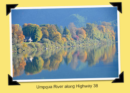 breakfast in the fog